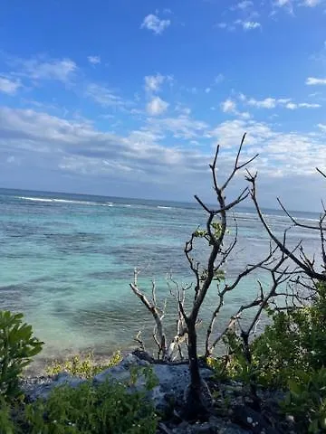 Le Pascal, Studio Paisible - Anse Des Rochers Saint-Francois  0*, Saint-Francois (Grande-Terre) Guadeloupe